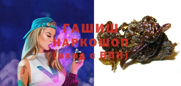хмурый Алексин