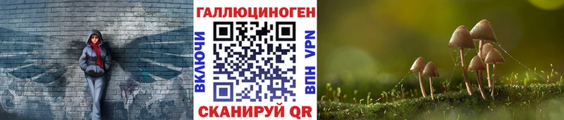 Псилоцибиновые грибы Magic Shrooms  Сурск 