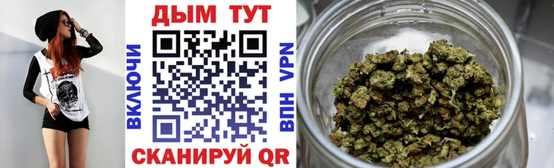 где продают   Сурск  Шишки марихуана OG Kush 